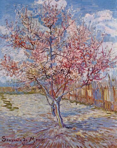Van Gogh Souvenir De Mauve